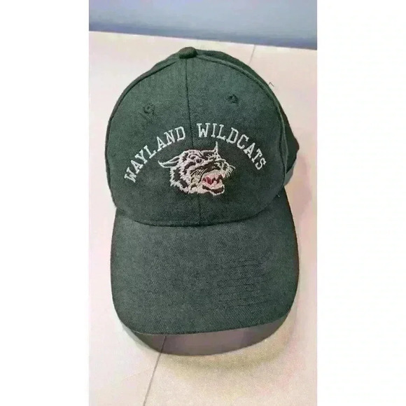 Wayland Wildcats Green Small Medium Fitted Hat - Picture 2 of 11